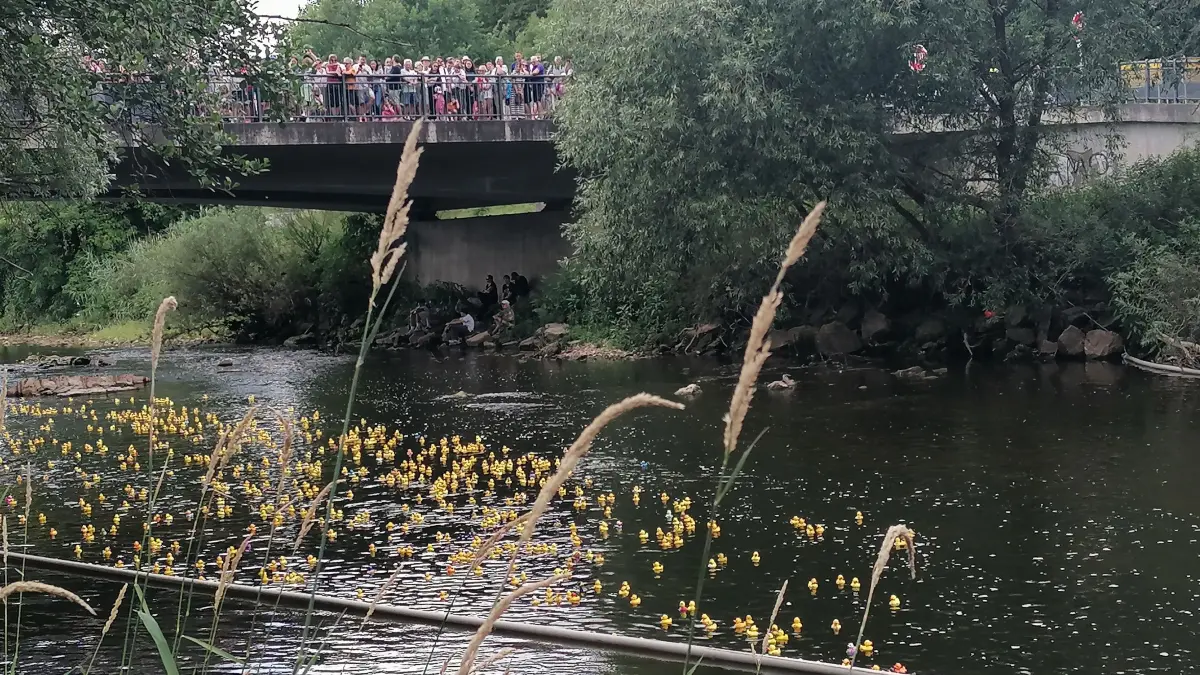 Rund 1200 Gummitiere gingen am Sonntag beim traditionellen Entenrennen auf dem Neckar bei Altenburg an den Start.