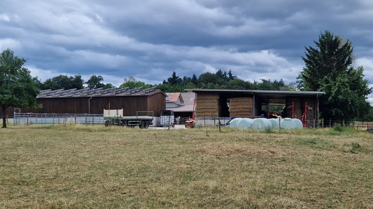 "Das habe ich in 50 Jahren noch nie gesehen": Die anhaltende Hitzewelle lässt das Grünland rund um den Fronholzhof in Ahldorf komplett austrocknen.