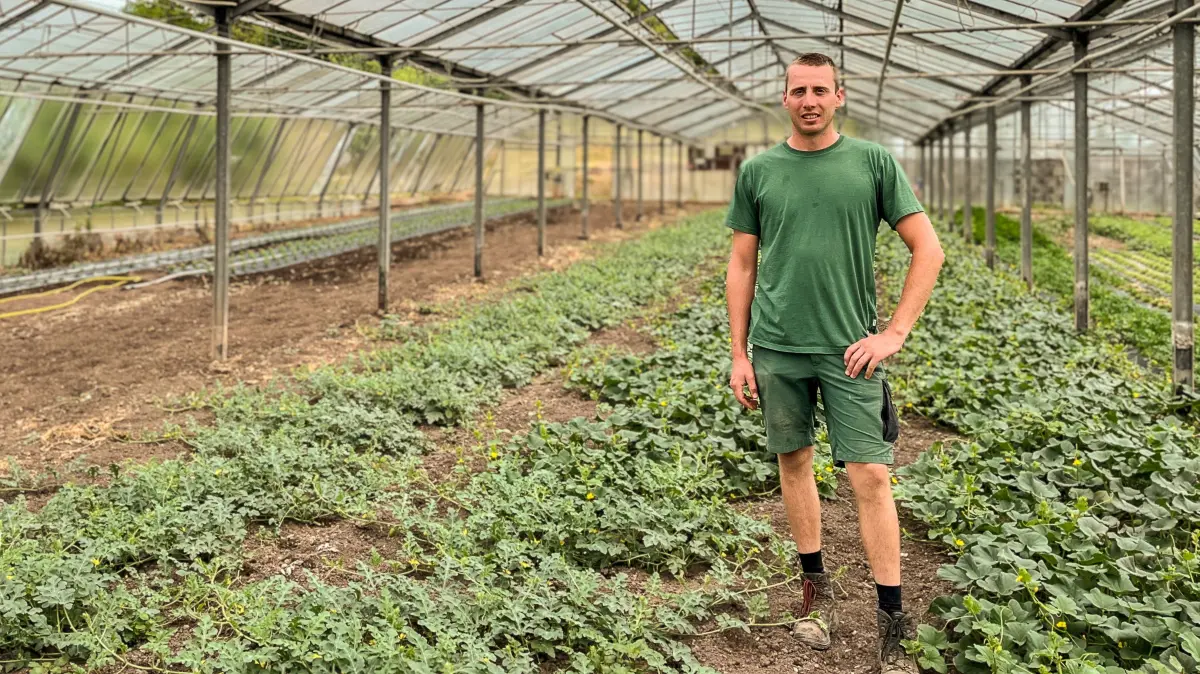 Gärtner Marc Schreiner, Melonenanbau