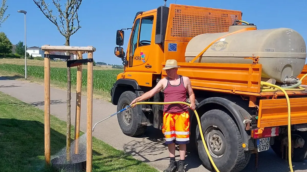 Botanische Priorität: Jungbäume in den ersten drei Anwuchsjahren werden vom Bauhof besonders intensiv und durchdringend bewässert.