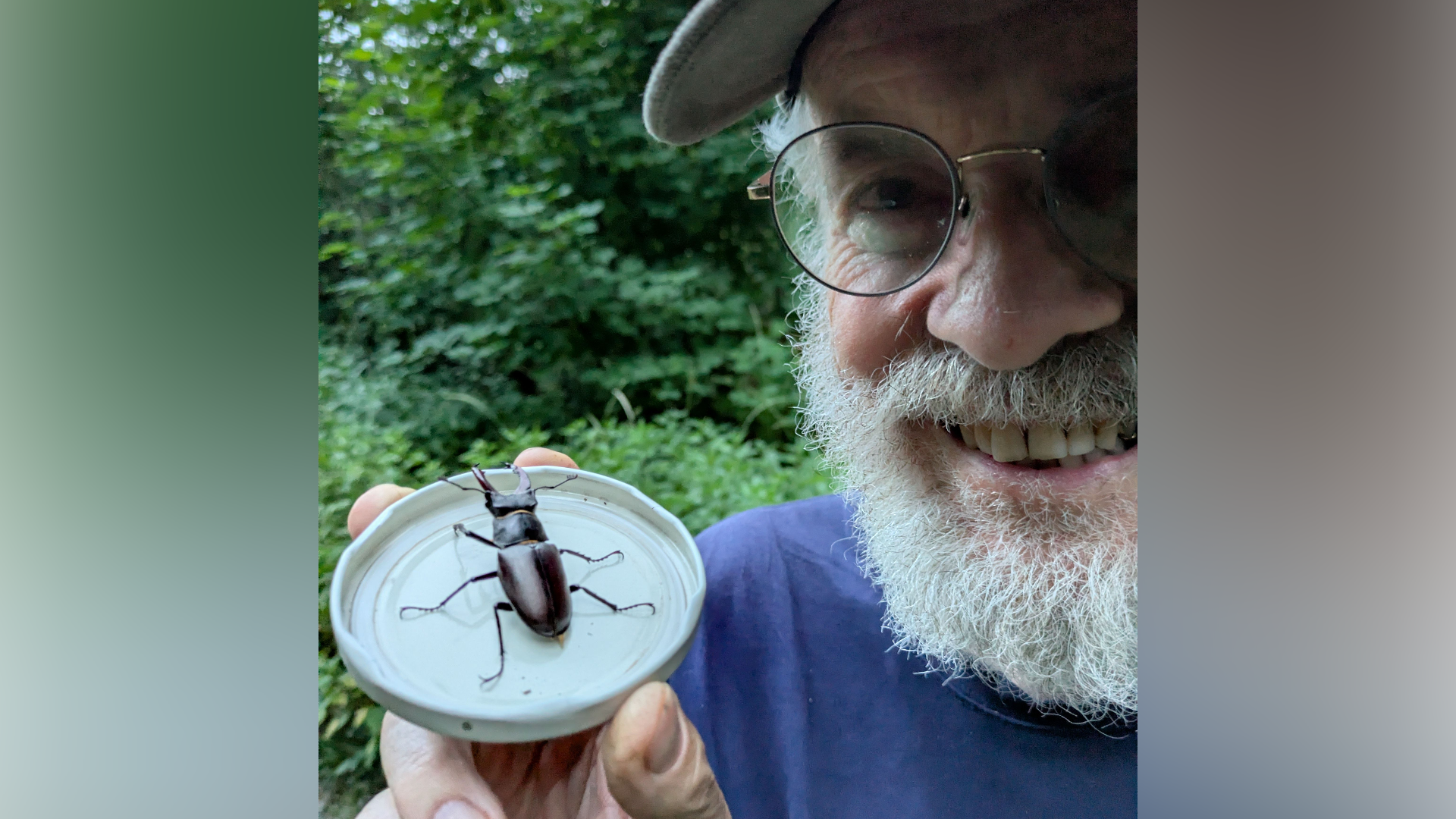 Den Hirschkäfer mit seinem mächtigem Geweih entdeckte Lothar Fink an der Bühler bei Cröffelbach.