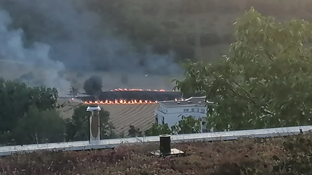 Brand abgeerntetes Feld in den Neuwiesen