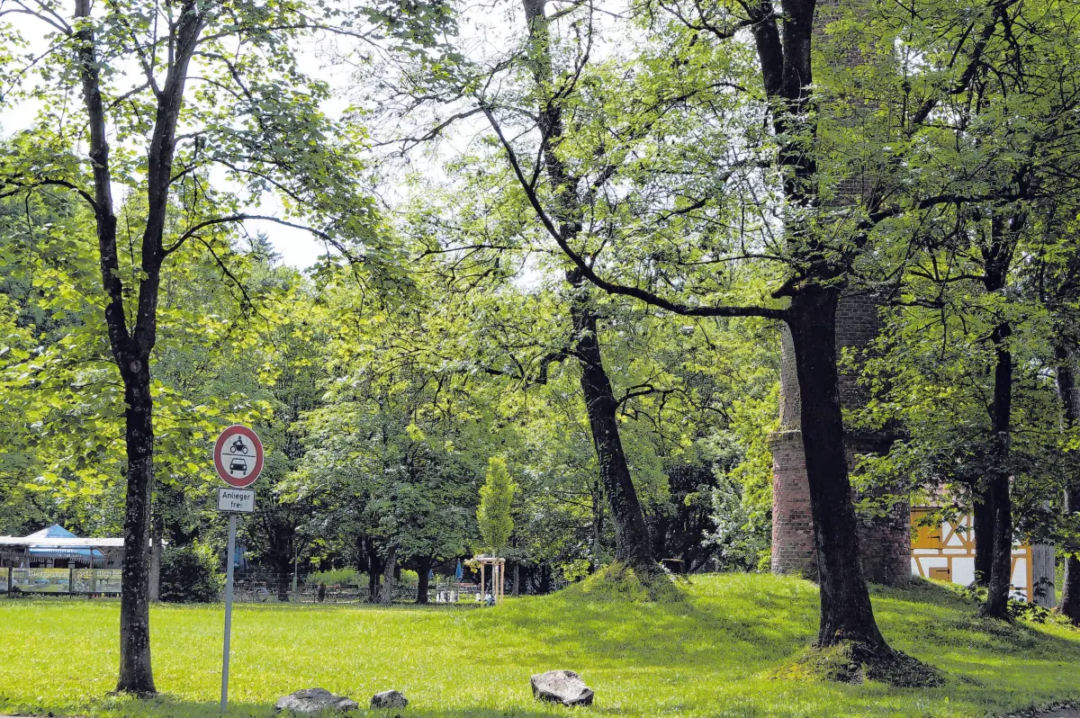 Der Stadtpark mit seinem alten Baumbestand bietet viele Freizeitmöglichkeiten.