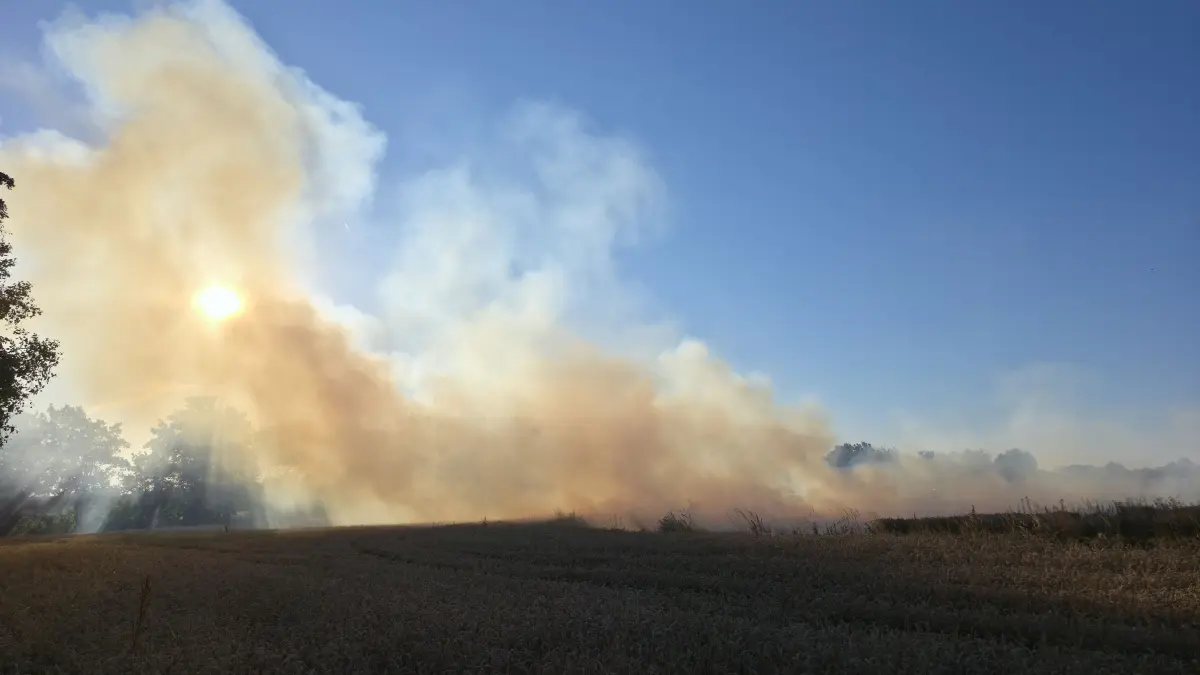 FW Boeblingen: Grosser Flaechenbrand auf Getreidefeldern<br />
Boeblingen (ots)<br />
<br />
Die Feuerwehr Boeblingen wurde am Sonntagabend gegen 19.20 Uhr zu einem Flaechenbrand an der B464 zwischen Boeblingen und Dagersheim alarmiert. Bereits auf der Anfahrt bestaetigte sich das Lagebild aufgrund einer massiven Rauchentwicklung, sodass das Alarmstichwort erhoeht wurde. Es brannten mehrere noch nicht abgeerntete Getreidefelder auf einer Flaeche von rund vier Hektar. Neben der Feuerwehr Boeblingen, die mit zahlreichen Kraeften und wasserfuehrenden Fahrzeugen im Einsatz war, unterstuetzten auch die Feuerwehr Sindelfingen sowie die Fuehrungsgruppe des Landkreises die Einsatzmassnahmen. Auch Kreisbrandmeister Martin Amler war vor Ort.<br />
<br />
Die Einsatzkraefte leiteten mit mehreren Strahlrohren umgehend einen umfassenden Loeschangriff ein, der von verschiedenen Seiten vorgetragen wurde. Oertliche Landwirte unterstuetzten die Massnahmen, indem sie eine Schneise zwischen dem Brandbereich und den noch nicht betroffenen Feldern zogen. Durch die Drohnengruppe der Feuerwehr Boeblingen konnte schnell ein Lagebild aus der Luft erstellt werden, das die Einsatzleitung bei der Erkundung und Festlegung der Massnahmen unterstuetzte. In einem eigenen Einsatzabschnitt wurden Messfahrten in der naeheren Umgebung durchgefuehrt, die keine Auffaelligkeiten ergaben.<br />
<br />
Im Einsatz war auch der gelaendegaengige Zug der Feuerwehr Boeblingen, der speziell fuer Einsaetze auf unbefestigtem Gelaende konzipiert ist. Dazu zaehlt unter anderem ein Utility Task Vehicle mit Aufbau Kleinloeschfahrzeug sowie ein Geraetewagen Transport mit Loeschmodul auf Unimog-Basis. Dadurch konnten Loeschmassnahmen direkt auf den betroffenen Flaechen effektiv durchgefuehrt werden.<br />
<br />
Nach rund einer Stunde konnte "Feuer aus" gemeldet werden. Umfangreiche Nachloescharbeiten schlossen sich an. Die abgebrannte Flaeche wurde anschliessend durch oertliche Landwirte umgepfluegt. Verletzt wurde niemand. Im Einsatz befanden sich rund 80 Feuerwehrangehoerige mit etwa 20 Fahrzeugen, der DRK-Ortsverein Boeblingen zur Absicherung der Einsatzkraefte sowie die Polizei mit mehreren Streifenwagenbesatzungen.h Nachloescharbeiten durch, um verbliebene Glutnester abzuloeschen.