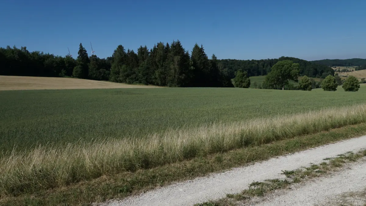 Rund 300 Meter oberhalb des Landhotels Winter in Offenhausen befindet sich das Grundstück für das geplante Waldschulheim.