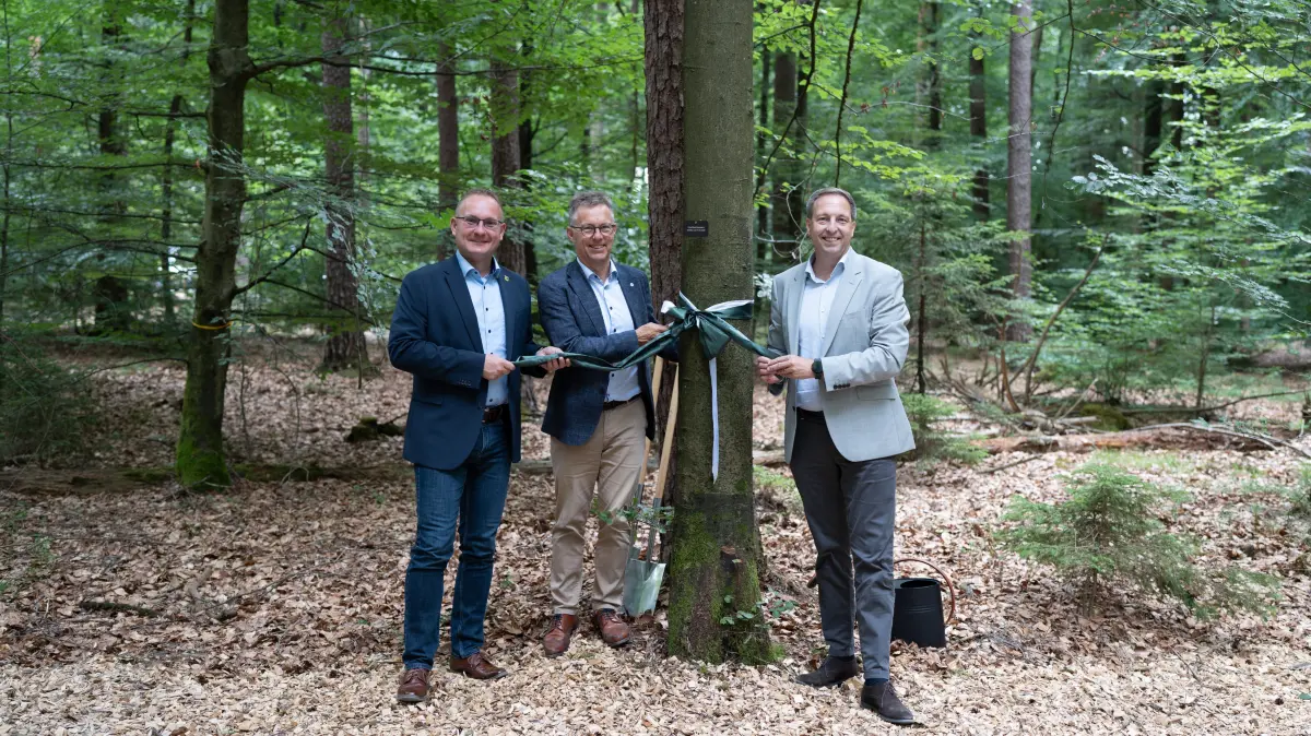 Mainhardts Bürgermeister Damian Komor (von links), Vorstandsvorsitzender ForstBW Max Reger und Friedwald-Geschäftsführer Matthias Laufer am Eröffnungsbaum im FriedWald Mainhardt.