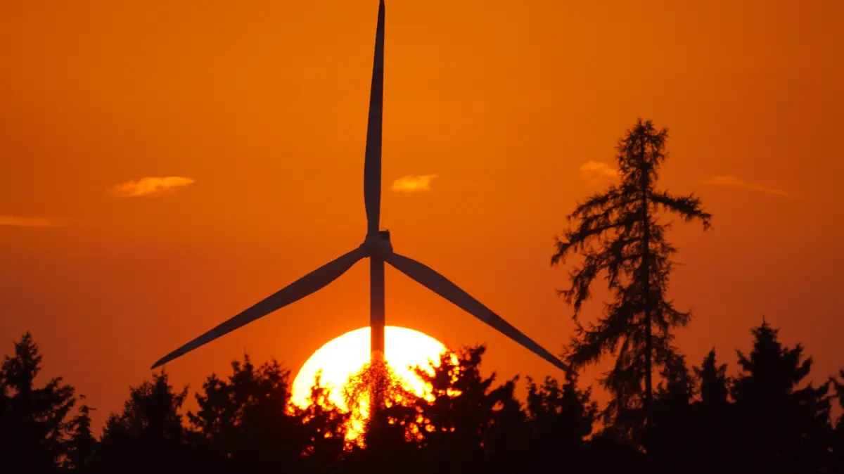 Windpark Bermaringen: Windpark Bermaringen