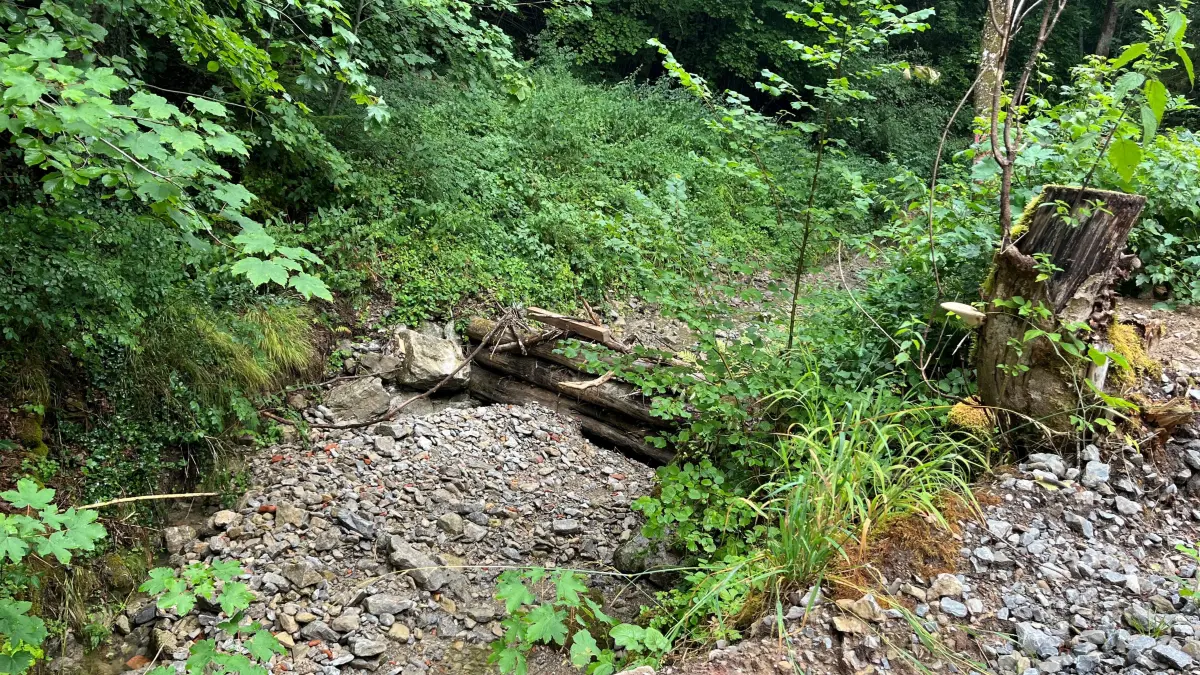 Sieht unscheinbar aus, ist aber immens wichtig: Der Geröllfang an der Brücke B4 in Weitingen.