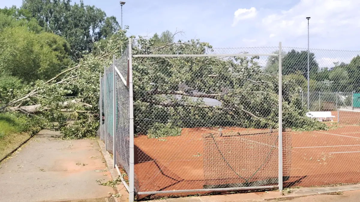 Bei einem Unwetter ist ein Baum auf den Tennisplatz in Rangendingen gekippt.