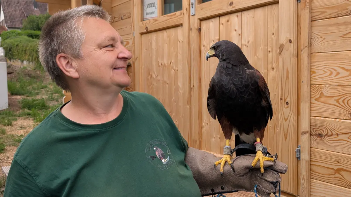 Britta Höckh und Harris Hawk Hekate in Wolfenhausen