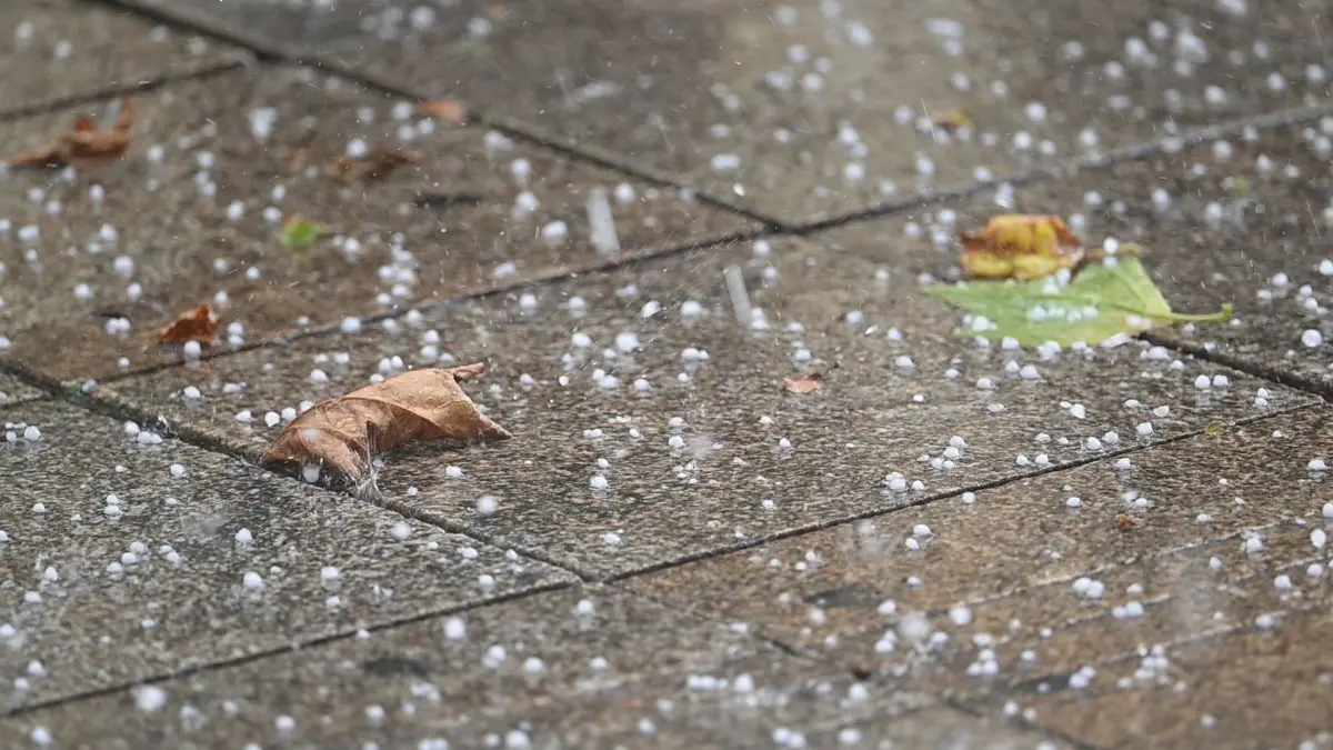 Hagel in Stuttgart: 17.07.2026, Baden-Württemberg, Stuttgart: Hagelkörner liegen in der Innenstadt auf der Königstraße. Foto: Marijan Murat/dpa +++ dpa-Bildfunk +++