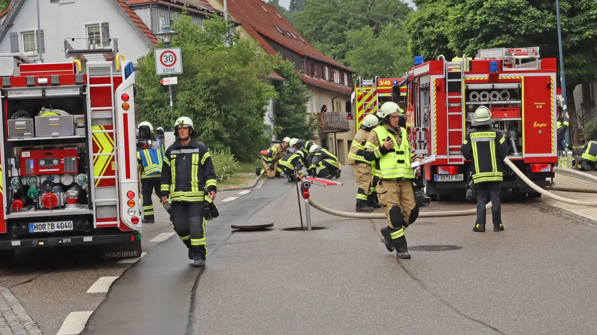 Bei der Schauübung der Dettinger Feuerwehr waren sieben Wehren mit 48 Einsatzkräften im Einsatz.
