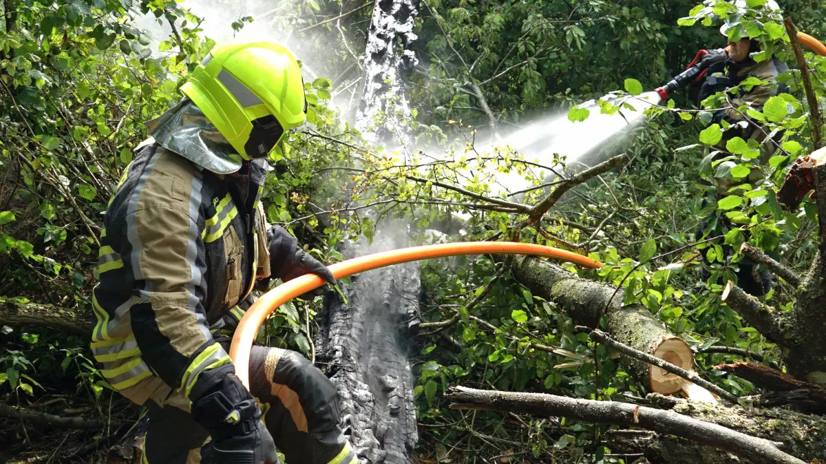 Baumbrände können sich oft unbemerkt ausbreiten. Das mache sie besonders gefährlich, erklärt die Feuerwehr.