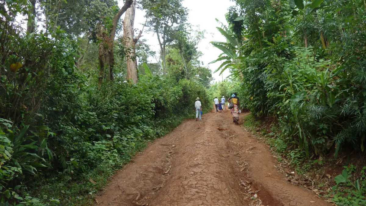 Auf dem Kilimanjaro-Friedship-Trail von Mweka nach Fukeni.