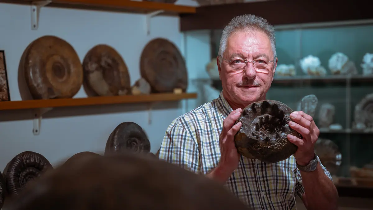 Hunderte Fossilien lagern in der eigenen Ausstellung im Keller von Elmar Scherer in Talheim. In der Hand hält er ein besonderes Exemplar, einen Teloceras banksii aus dem Ober-Bajocium. Ein ähnlicher Ammonit wird derzeit in der Ausstellung "Ammonite Masterpieces" im Altmühltal ausgestellt. Im Bildband Ammonite Masterpieces wurde dem Fossil eine ganze Seite gewidmet.