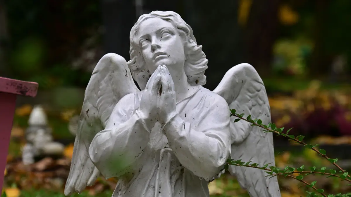 Friedhof in Erfurt