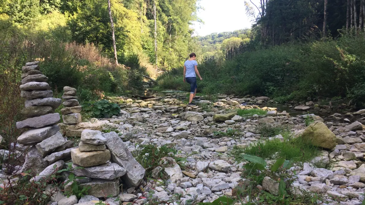 Umweltschützer plädieren für die Ausweisung neuer Flächen. Besonders bedroht und schützenswert scheint das Grimmbachtal.