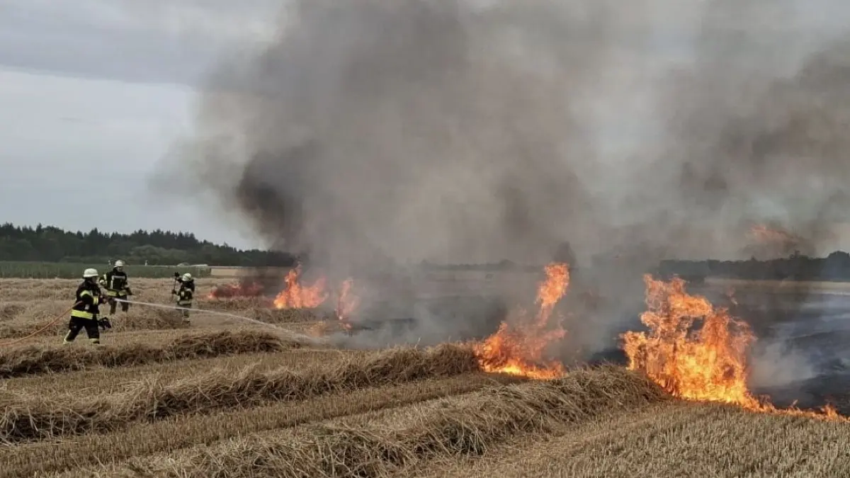 Flächenbrand Buch