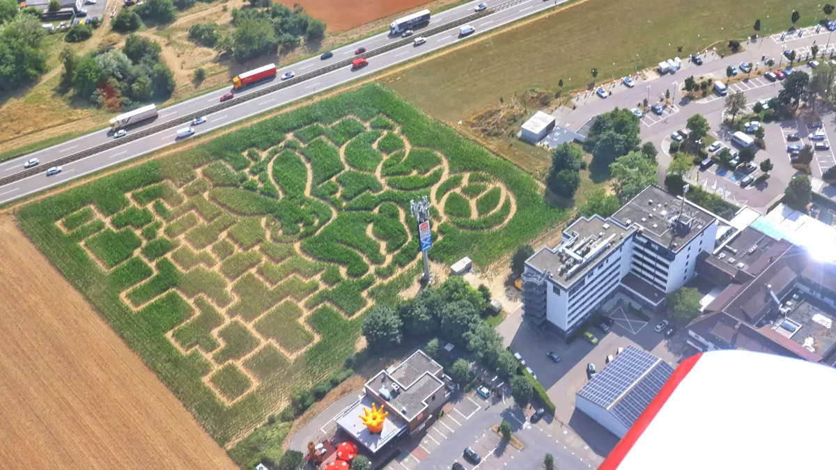 Das Maislabyrinth Seligweiler lockt auch in diesem Jahr mit einem 1,6 Hektar großen Irrgarten.