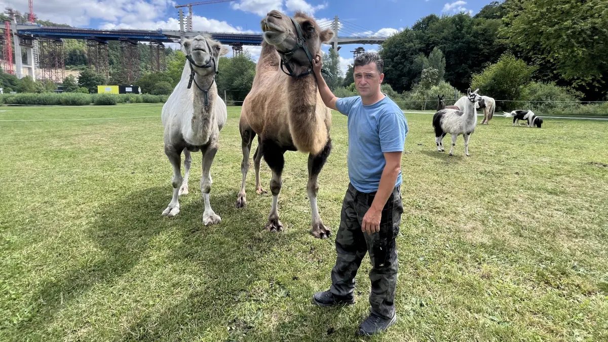 Circus Rudolf Renz Horb Zirkus