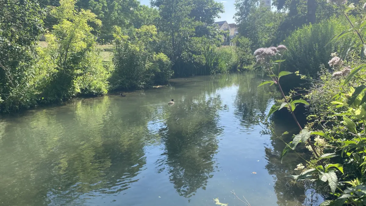Die Schmiech in Ehingen. Das Flüsschen hat weniger Wasser als sonst. Manche kleinere Gewässer sind bereits in Abschnitten trockengefallen.