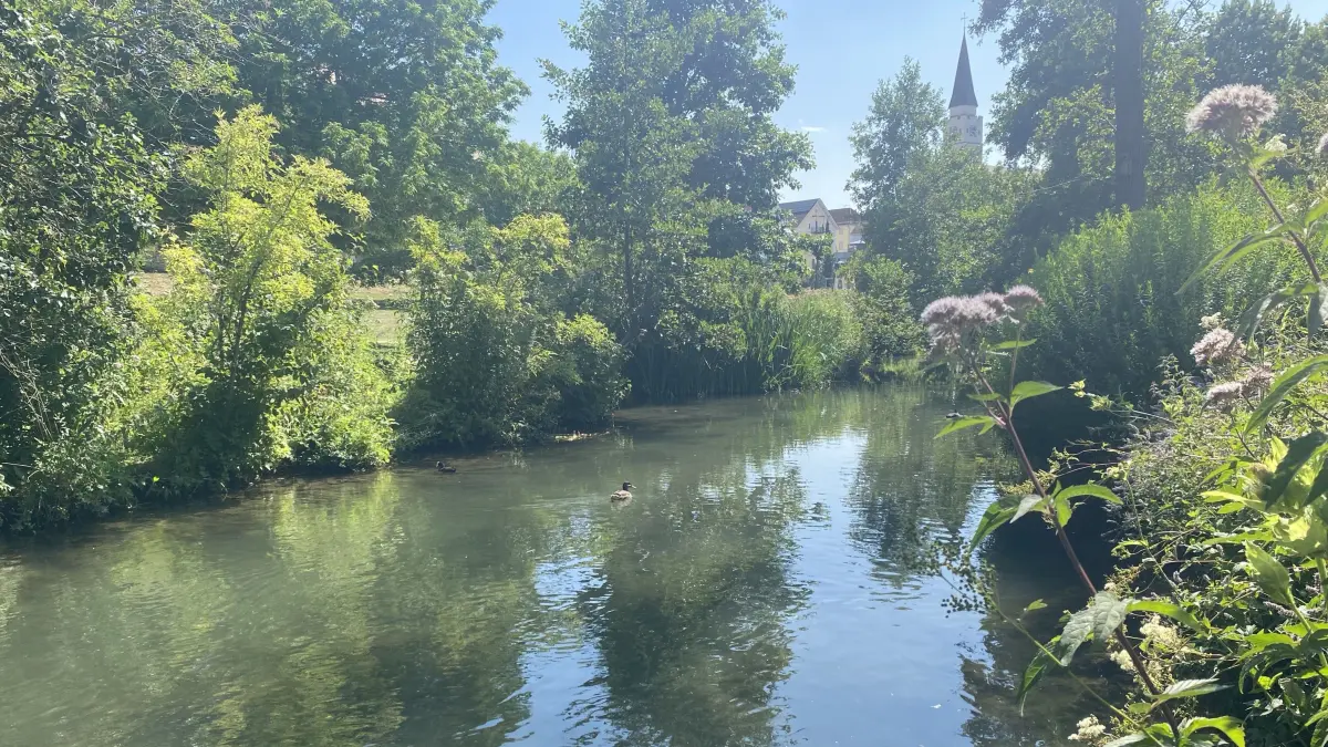 Die Schmiech in Ehingen. Das Flüsschen hat weniger Wasser als sonst. Manche kleinere Gewässer sind bereits in Abschnitten trockengefallen.