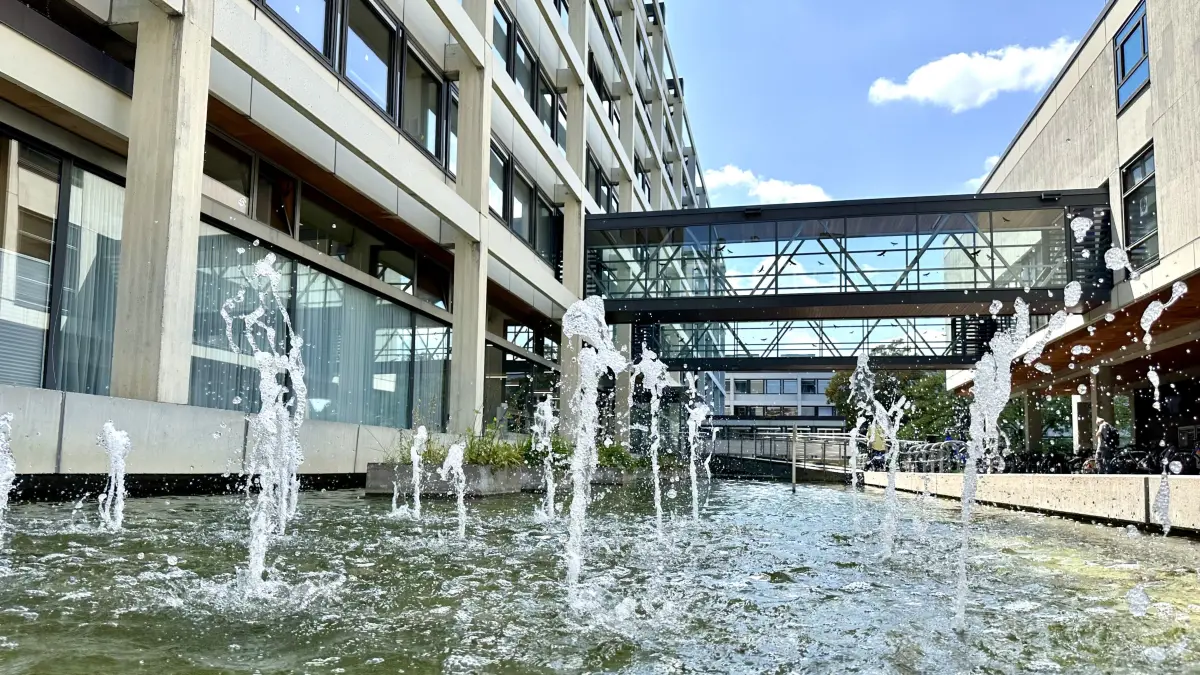 Rathaus Reutlingen Sanierung