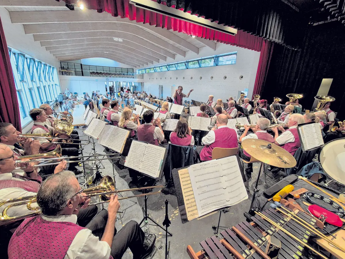 Das Sommer- und Kinderfest in Rosenfeld bietet unter anderem einen Kletterbaum, von dem sich Kinder Spielzeug „pflücken“ können, einen Rummel und Musik von der Stadtkapelle Rosenfeld.⇥Fotos: Bettina Huonker