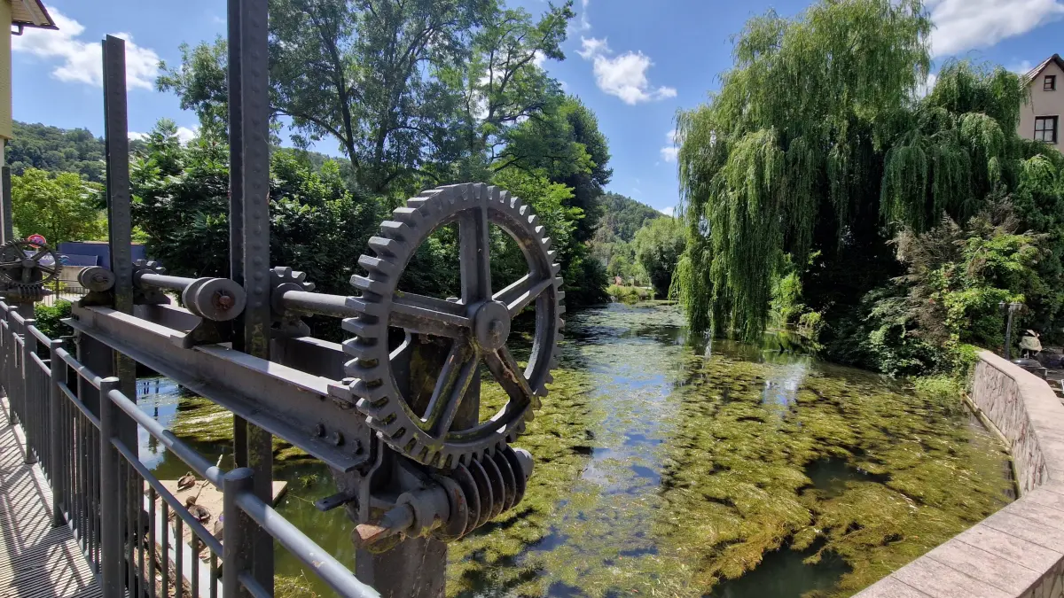Grüner Teppich im Kanal: Das historische Wasserrad am Horber Mühlkanal steht in diesem Sommer inmitten dichter Pflanzenteppiche. Die Stadt sieht darin jedoch ein natürliches Phänomen und gibt Entwarnung für die Tierwelt.