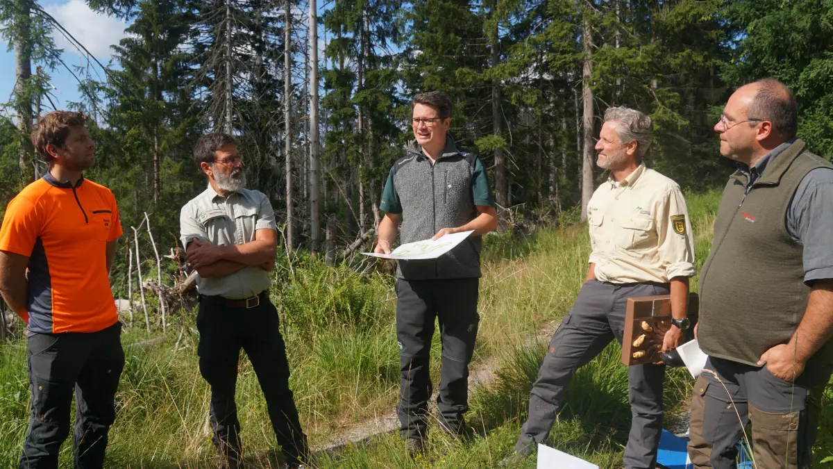 Von links: David Mauch, Reiner Brechenmacher und Frieder Hepperle von Forst BW sowie Berthold Reichle und Thorsten Schaupp vom Nationalpark.