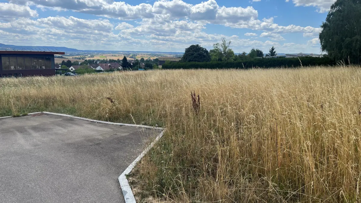 Neubau Arztpraxis Tillwich Empfingen