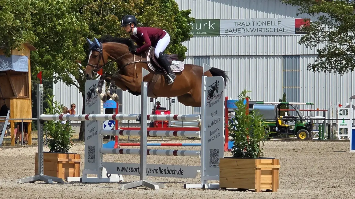 Es ist einer der Leckerbissen für das Publikum beim Hohenloher Reitevent, wenn sie den Springprüfungen beiwohnen. Leicht wirken die schweren Tiere, wenn sie abheben.