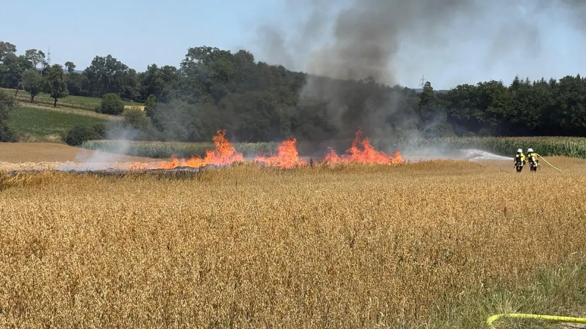 Flächenbrand in Rottenburg: Am Ortsbrand von Eckenweiler standen rund 400 Quadratmeter in Flammen.