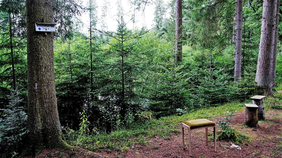 (ohne Überschrift): Vorsicht: Dieses Foto ist möglicherweise nur für den einstigen Verlag Schwäbisches Tagblatt verwendbar. Bodenloser See Empfingen 8.8.2023.Bild: Karl-Heinz Kuball