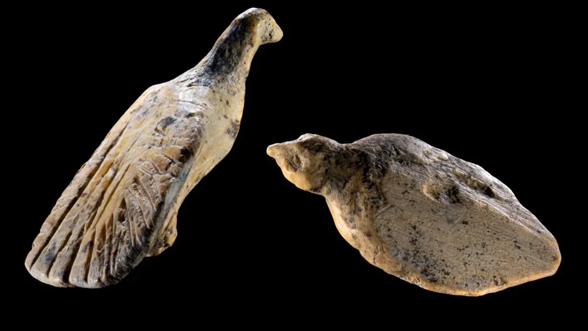 Mini-Vögel aus Elfenbein in Unesco-Höhle entdeckt