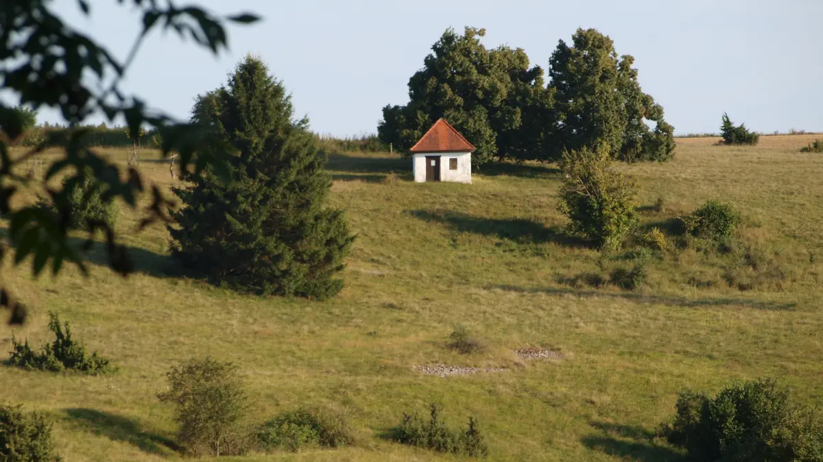 Merklingen, Bleichhäusle: 08/2016, Merklingen, Naturschutzgebiet Bleich, Bleichhäusle