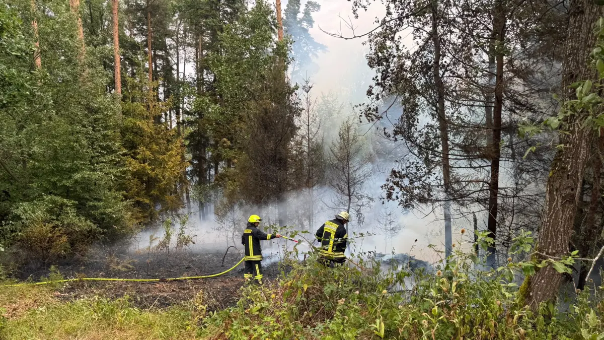 Feuerwehr Renfrizhausen Sulz Waldbrand