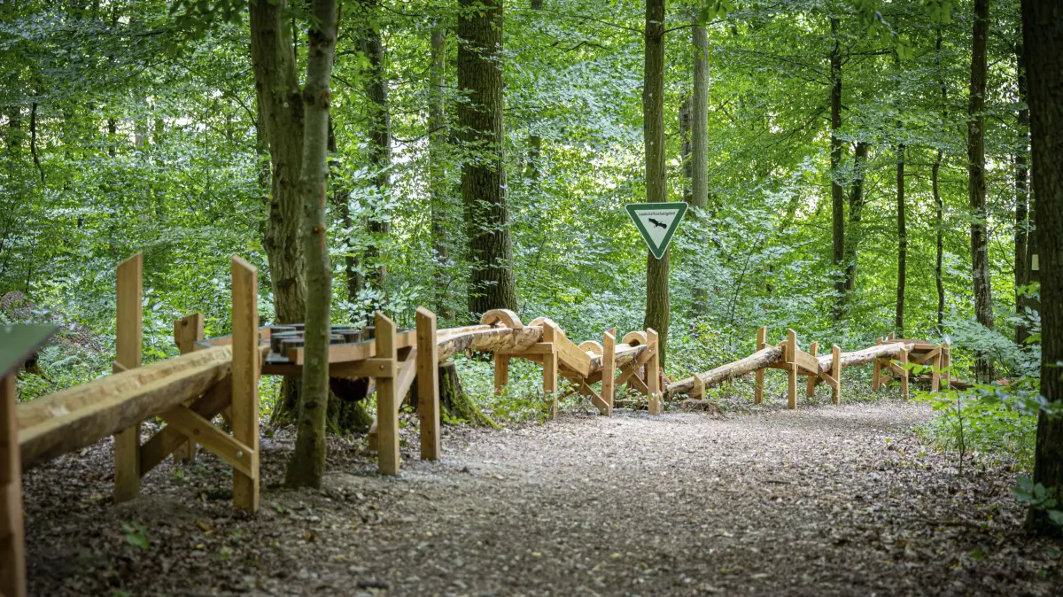 Waldkugelbahn in Hahnstaetten bringt Bewegung in den Wald: Die rund 70 Meter lange Waldkugelbahn am Naturerlebnispfad am Heideberg in Hahnstaetten (Hahnstätten) im Rhein-Lahn-Kreis (Foto vom 22.07.2026). Die Anlage ergaenzt als Station 13 den seit mehr als zwei Jahrzehnten bestehenden Pfad. Hinter dem Projekt steht die evangelische Kirchengemeinde Hahnstaetten-Kaltenholzhausen. Rund 20 Ehrenamtliche aus der Ortsgemeinde haben ueber etwa eineinhalb Jahre an der Bahn gebaut. (Siehe epd-Bericht und Video vom 31.07.2026)