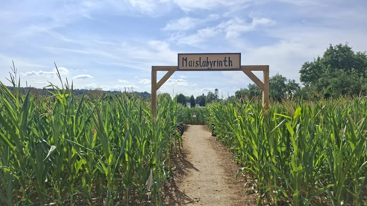 Ein abwechslungsreichen Ausflugsziel ist das Maislabyrinth in Dürnau.