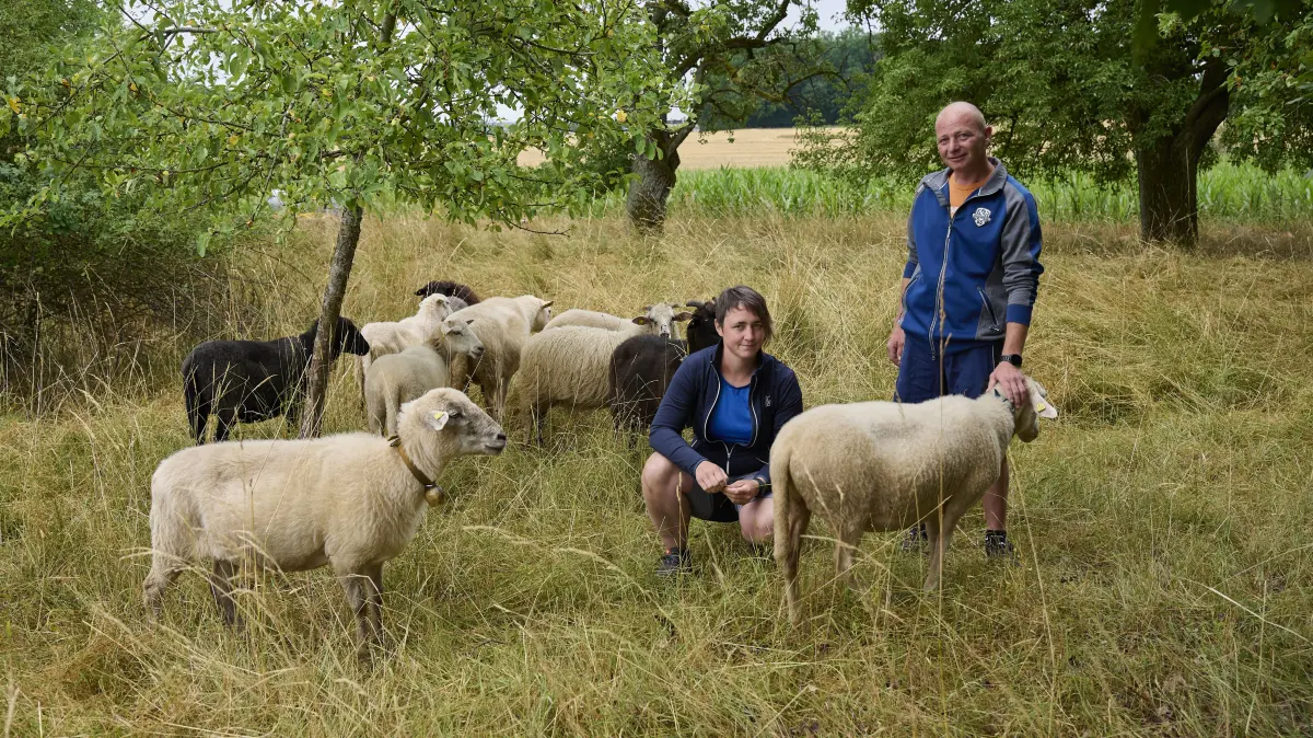 Carolin und Tobias Zenkert mit einem Teil ihrer Waldschafe. Den Mutterschafen hier auf dem Bild haben die beiden auch Vornamen gegeben.