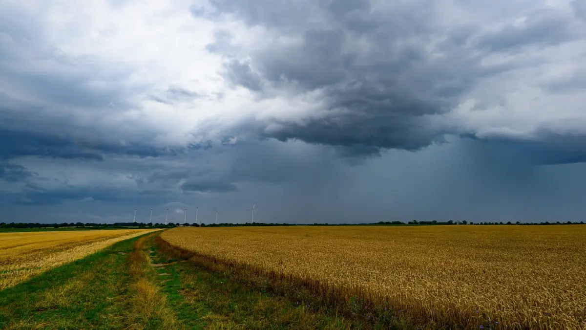 Gewitter über Brandenburg: 01.08.2026, Brandenburg, Mallnow: Gewitterwolken ziehen über die Landschaft im östlichen Brandenburg. Viele Wolken und schauerartiger Regen mit einzelnen Gewittern bestimmen den Tag. Foto: Patrick Pleul/dpa +++ dpa-Bildfunk +++