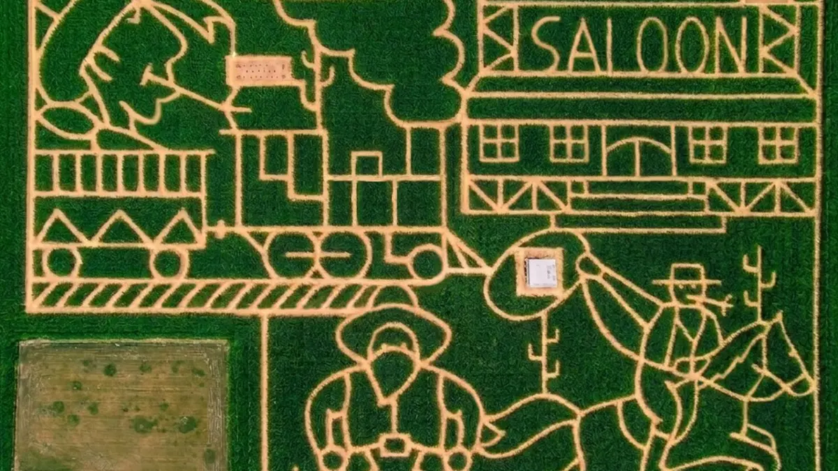 Das Maislabyrinth in Wolfenhausen zeigt aus der Vogelperspektive jedes Jahr ein neues Motiv. Im Jubiläumsjahr lautet das Motto "Wilder Westen".