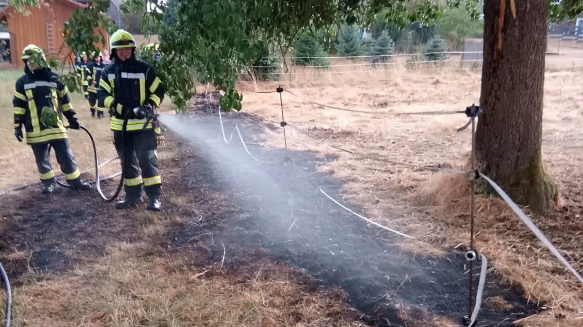 Ein Blitz hat am Dienstagabend in Dürrentmettstetten in einen Baum eingeschlagen und so einen Vegetationsbrand ausgelöst.