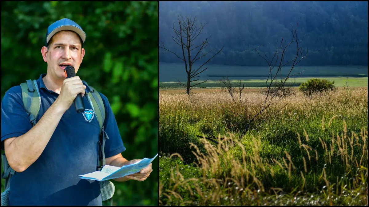 Heute Biotop mit mystischer Anmutung, früher Eisweiher für wirtschaftlichen Nutzen: das Feuchtgebiet am auslaufenden Fohental zwischen Tieringen und Oberdigisheim. Christoph Eppler führte die Wandergruppe an und hatte viele Informationen über Ort, Natur und Geschichte parat.