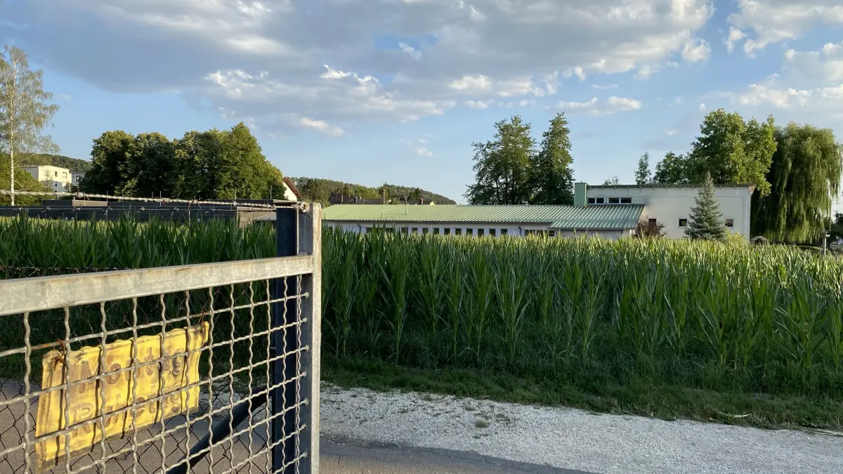 Bauen Sportplatzweg Allmendingen Baugebiet