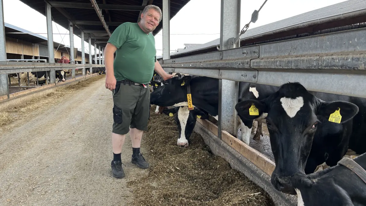 Noch geht es den Milchkühen von Roland Saile gut. Doch der Rottenburger Landwirt fürchtet, dass sich das bald ändern wird.
