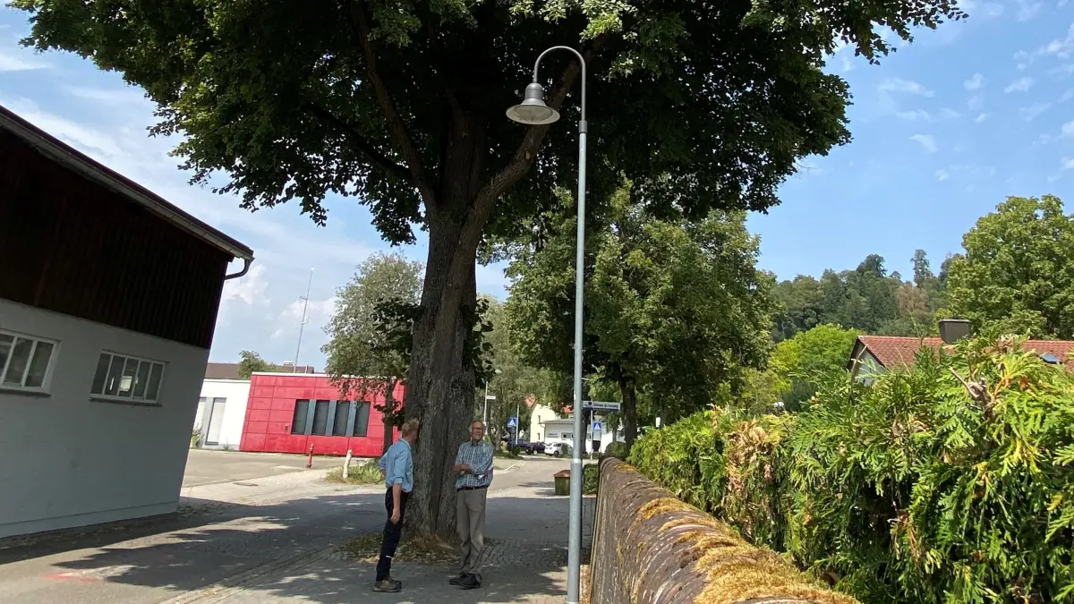 Alte Linde in Altenstadt