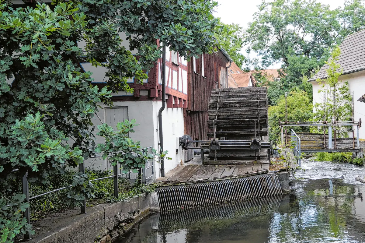Schöne Sommerblüten begleiten den Weg durch Söflingen, historische Ansichten gefallen dem Auge – so die Söflinger Klosterkirche, die Barockfenster am Söflinger Rathaus ebenso wie ein mit Blumen geschmücktes Fenster am Klostertor. Regionale Frische bieten die Marktbeschicker der beiden Wochenmärkte an: immer dienstags am Weststadthaus vom 14 bis 18 Uhr und im Söflinger Klosterhof freitags von 14 bis 18 Uhr.⇥⇥Fotos: Petra Starzmann, Avanti