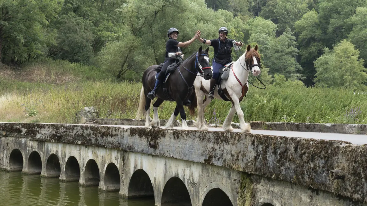 TREC Reiten, Rot am See, Turnier
