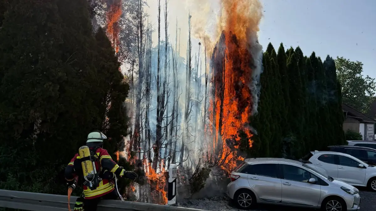 Meterhoch schlugen die Flammen an der Thujahecke empor.